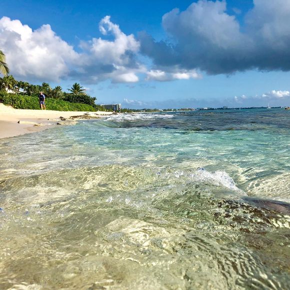 Meet your Posher, Laura - Picture 1 of 1